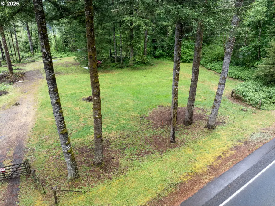 12155 Lewis River Rd, Ariel, WA 98603 - #2