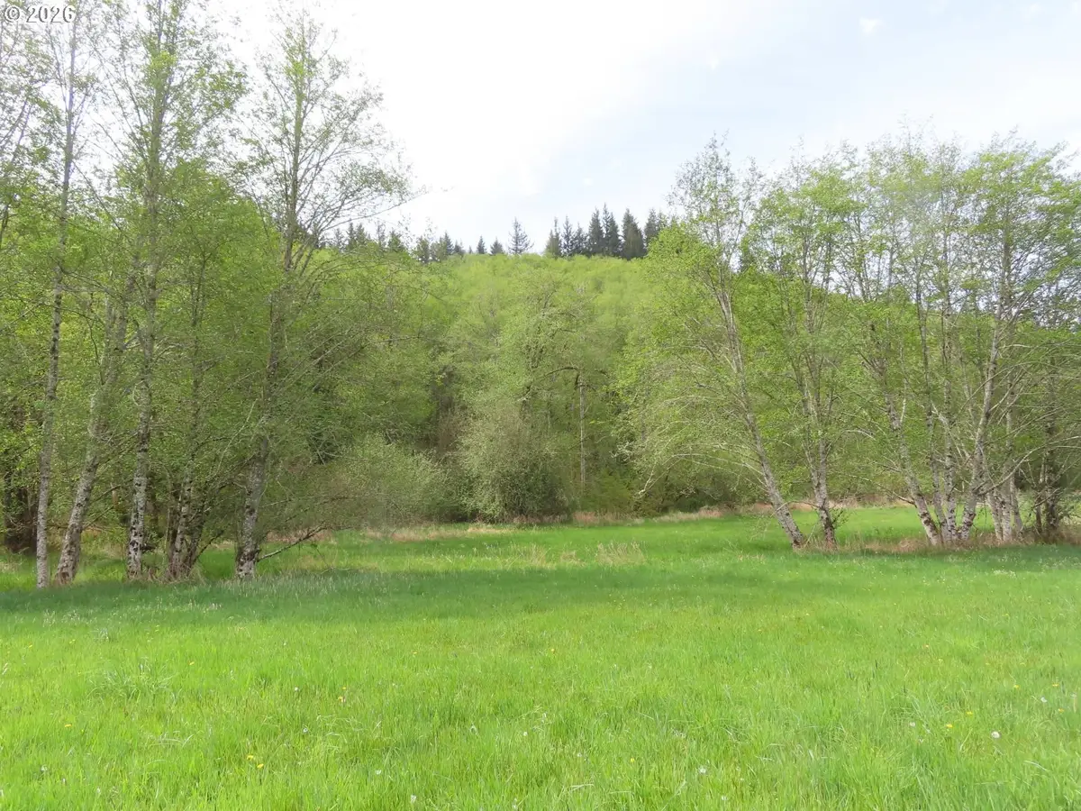 Hagen Rd, Mossyrock, WA 98564 - #1