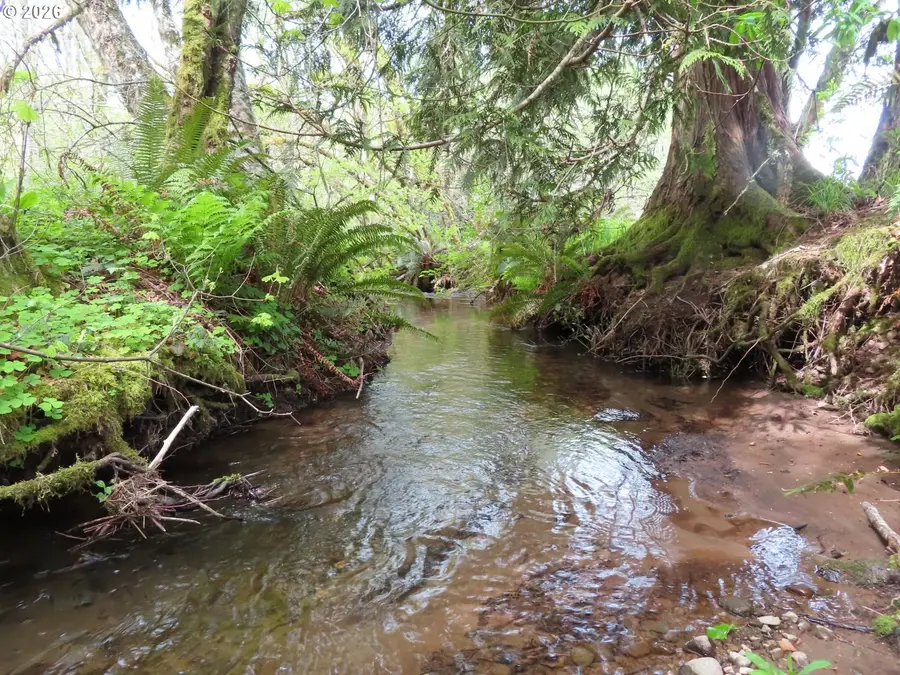 Hagen Rd, Mossyrock, WA 98564 - #2