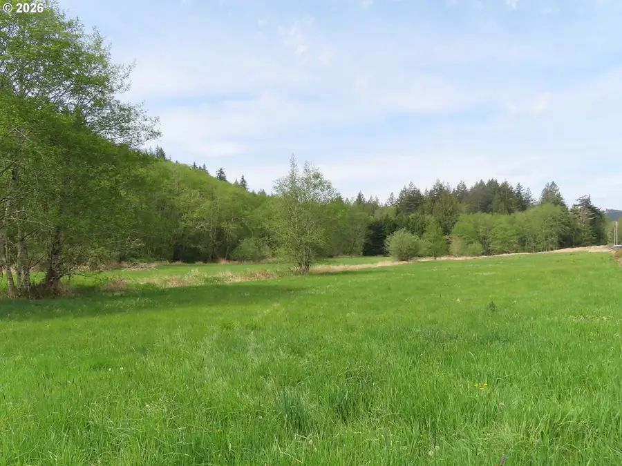 Hagen Rd, Mossyrock, WA 98564 - #3