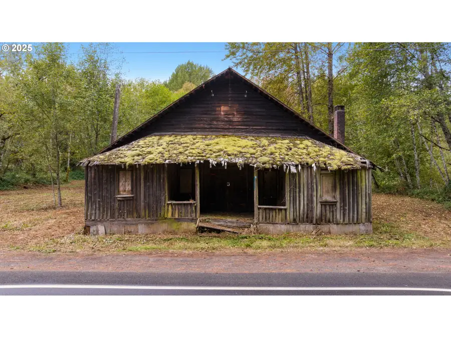 000 NE Yale Bridge Rd, Amboy, WA 98601 - Image #3