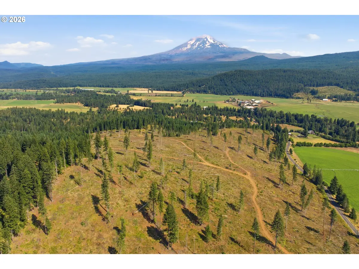 0 Little Mountain Rd, Trout Lake, WA 98650 - #1