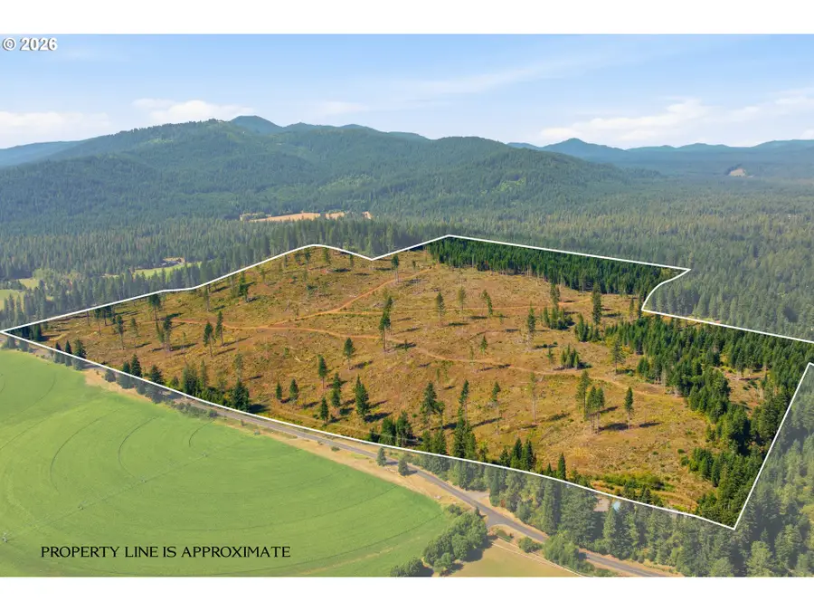 0 Little Mountain Rd, Trout Lake, WA 98650 - #3
