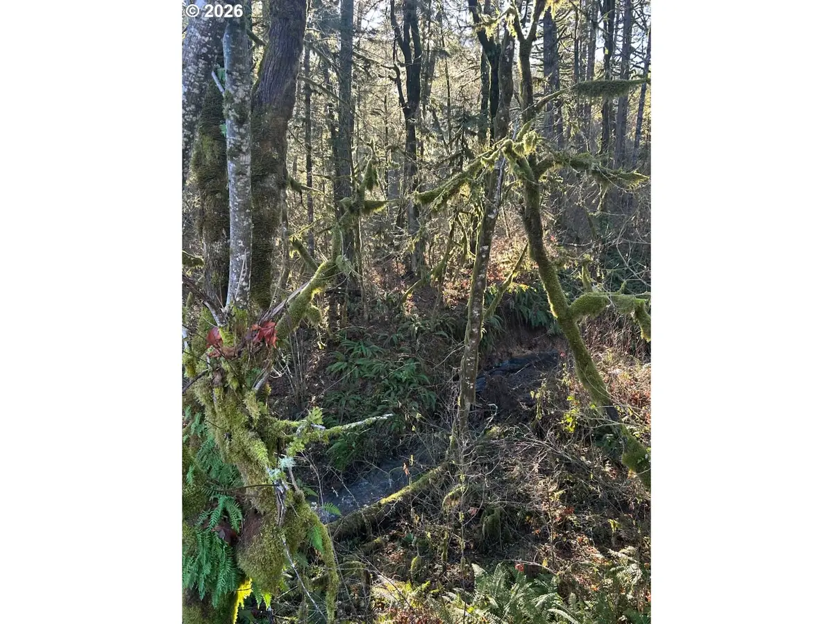 Rock Creek Rd #1, Sheridan, OR 97378 - #1