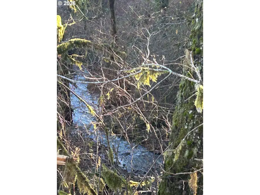 Rock Creek Rd #1, Sheridan, OR 97378 - #2