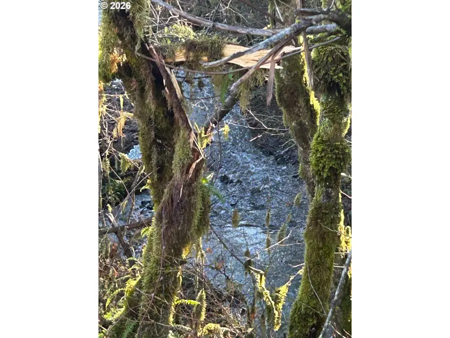 Rock Creek Rd #1, Sheridan, OR 97378 - #3