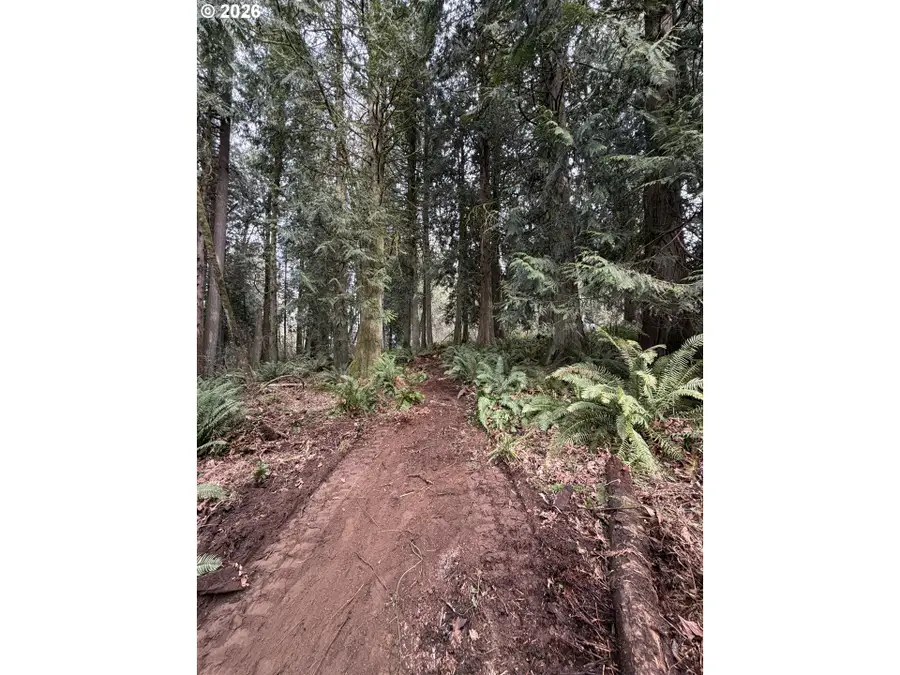 Meserve Rd, Rainier, OR 97048 - #3