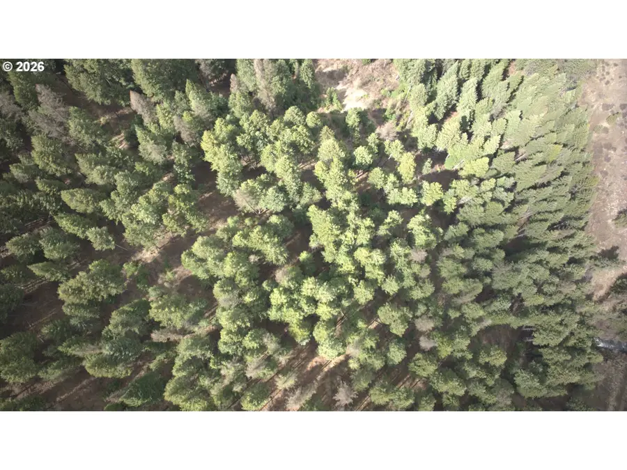 0 Palmer Junction Rd, Elgin, OR 97827 - #3