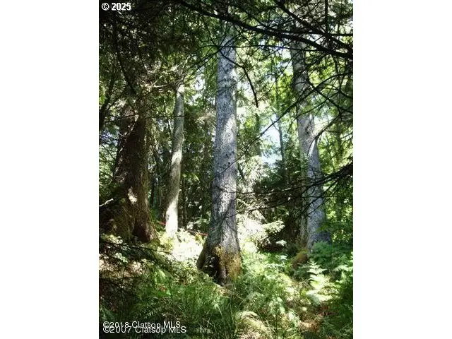 #1