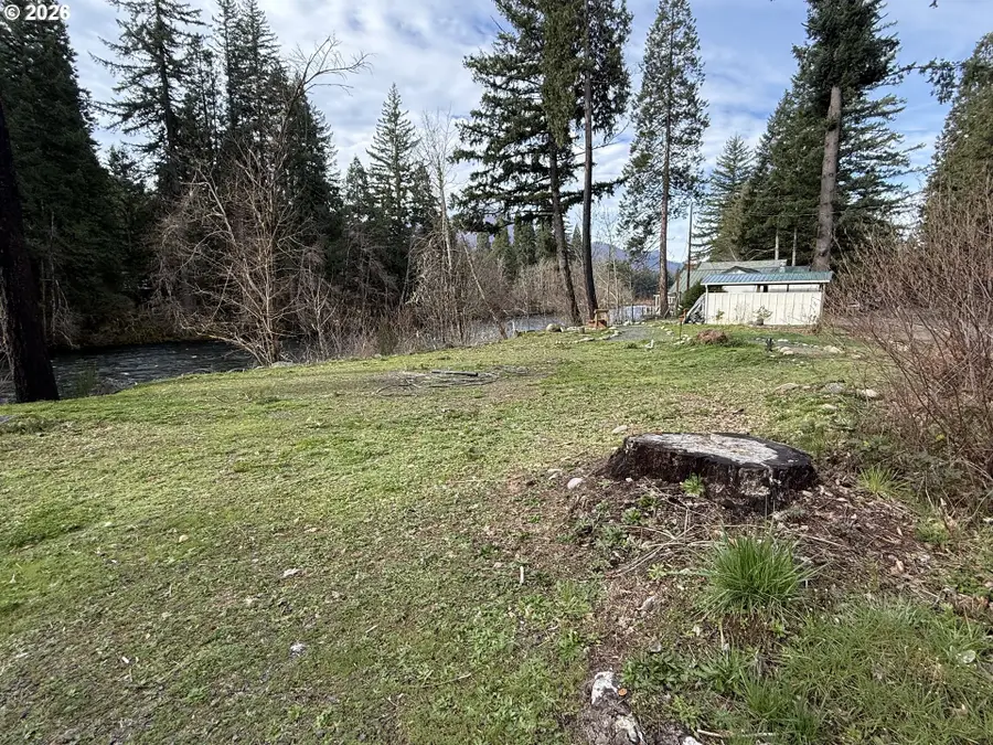 54480 Mckenzie River Dr, McKenzie River, OR 97413 - #2