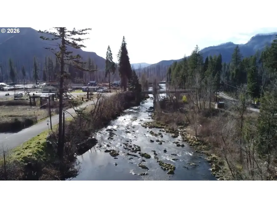 51800 Rose St #2, McKenzie River, OR 97413 - #3