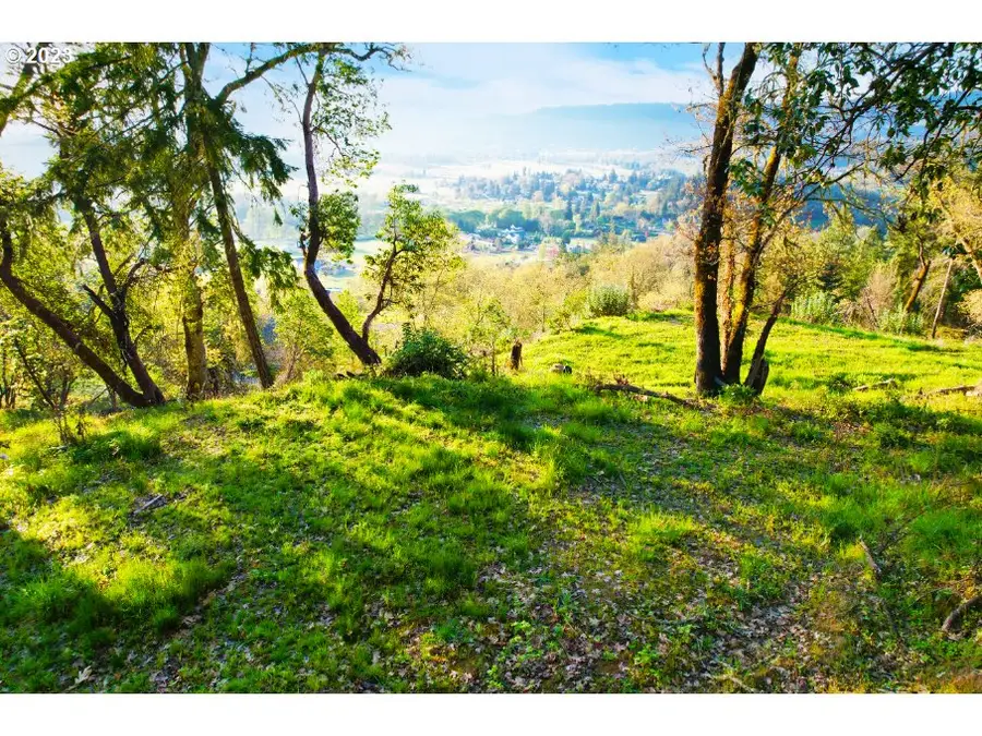 0 Black Oak Dr, Roseburg, OR 97471 - #2