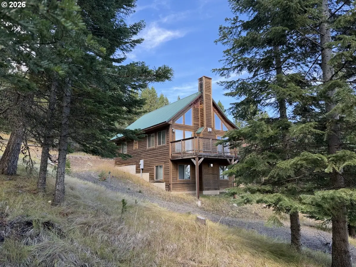 83842 Ollokot Ln, Joseph, OR 97846 - #1