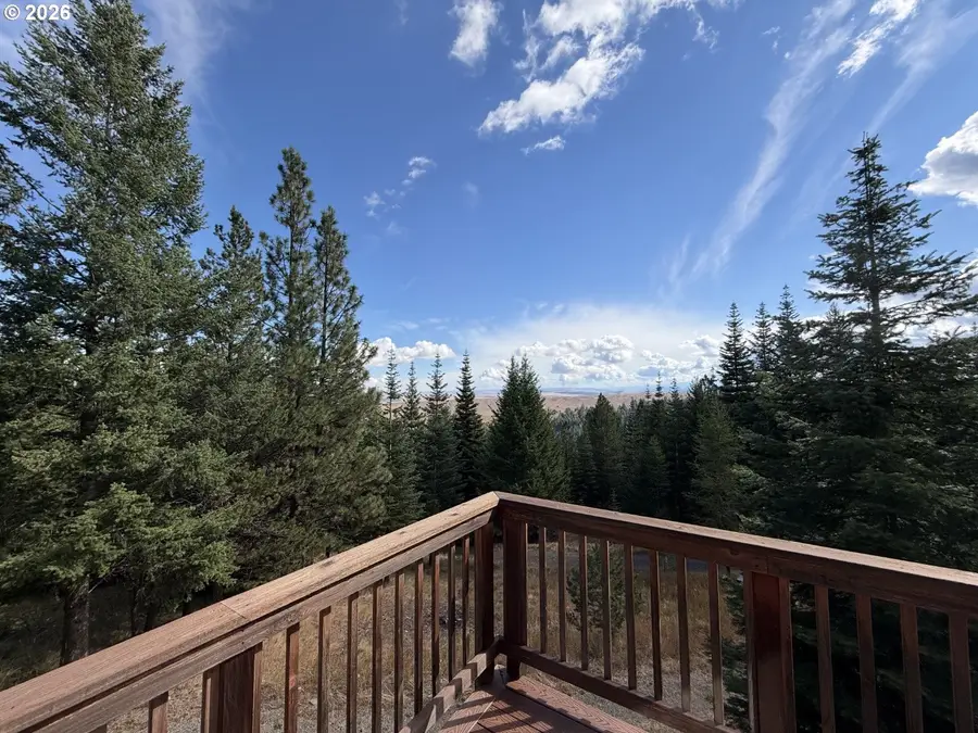 83842 Ollokot Ln, Joseph, OR 97846 - #3