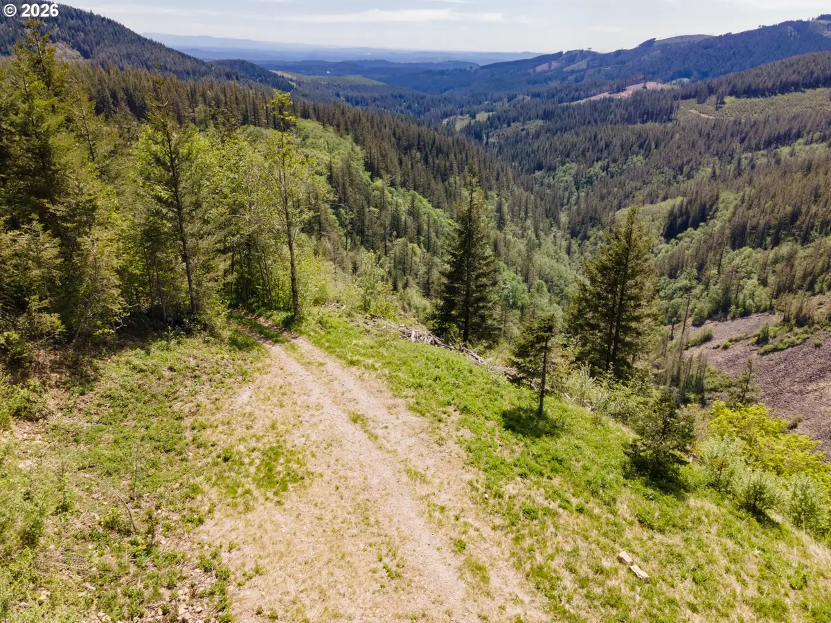 Snag Mountain Rd, Washougal, WA 98671 - #1
