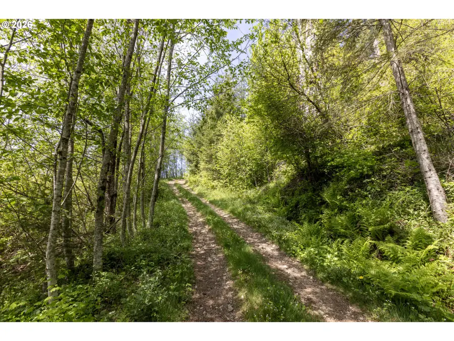 Snag Mountain Rd, Washougal, WA 98671 - #3