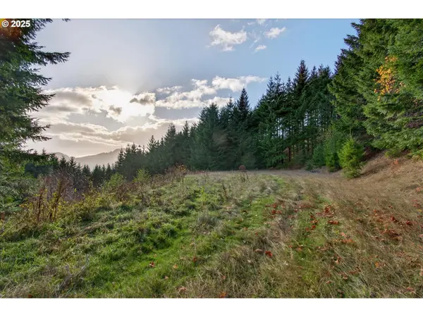 0 Knightsbridge Rd, Amboy, WA 98601