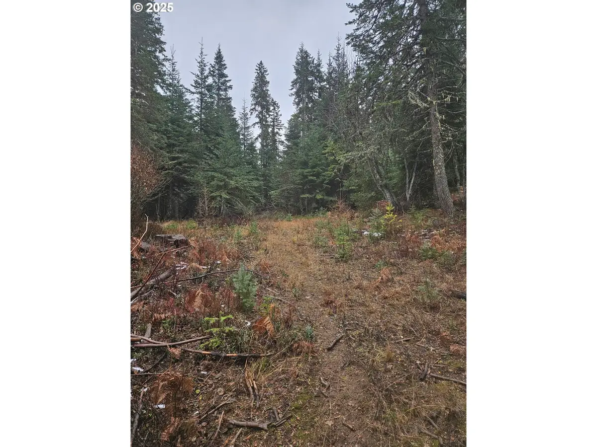 78654 Basket Mountain Rd, Weston, OR 97886 - Image #1
