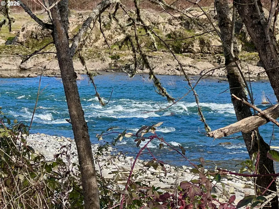 S Old Highway 99 S, Tenmile, OR 97457 - Image #3