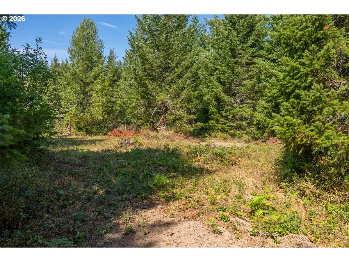 Hawk Meadows Rd #2, Carson, WA 98610 - #1