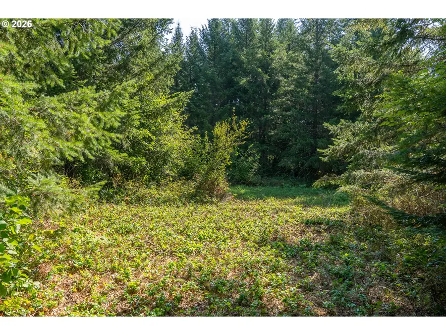 Hawk Meadows Rd #2, Carson, WA 98610 - #3