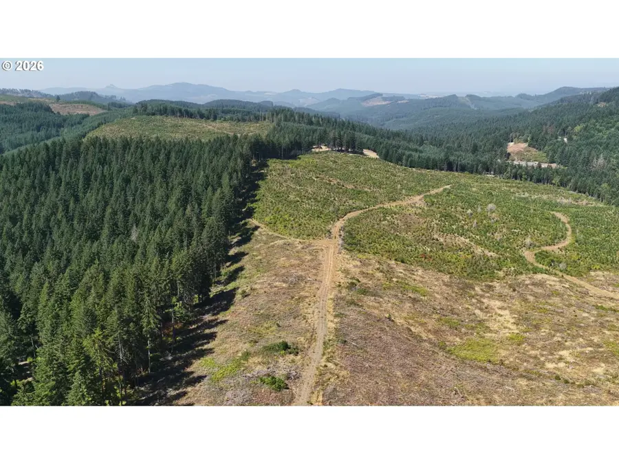 Brush Creek Rd, Marcola, OR 97454 - #2