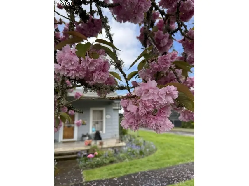 507 S 11th Ave, Cornelius, OR 97113 - #3