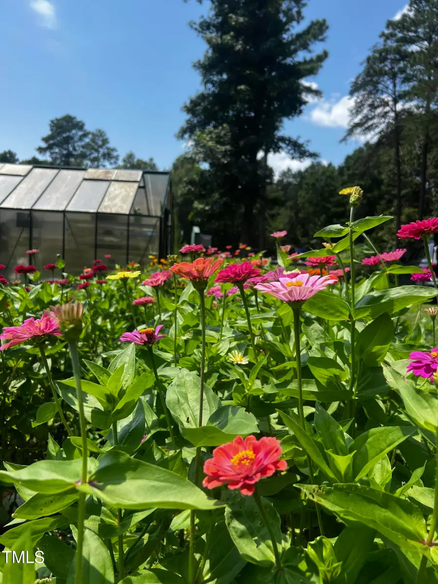 2345 Honeypot Lane, Chapel Hill, NC 27516 - Image #3