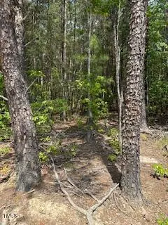 #3