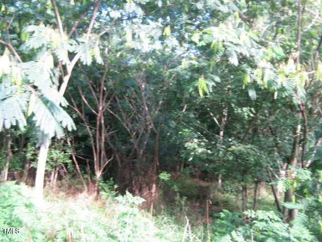 #3
