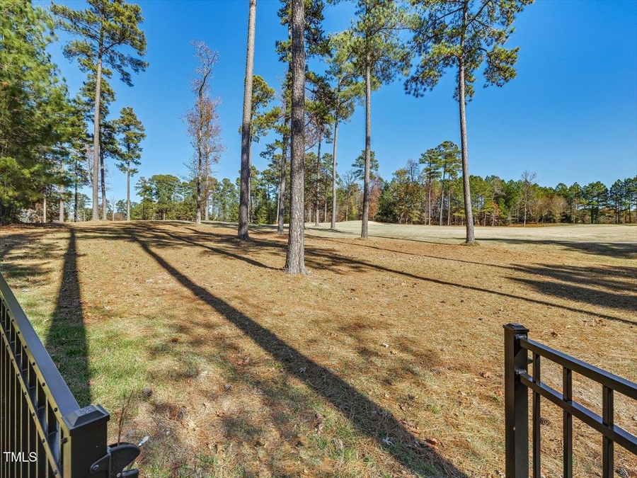 642 The Preserve Trail, Williams, NC 27517 - Image #2