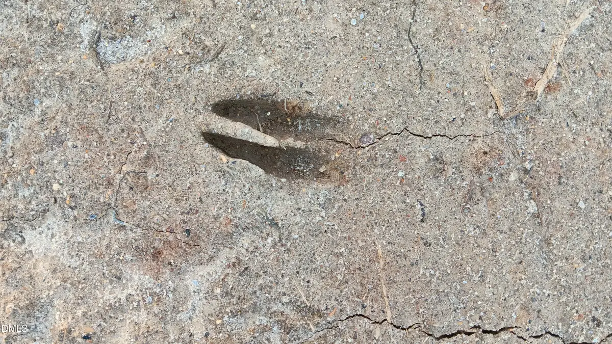 0 Cypress Creek Drive, Louisburg, NC 27549 - Image #1