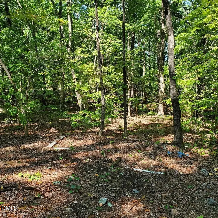 0 Steel Bridge Road, Sanford, NC 27330 - Image #3