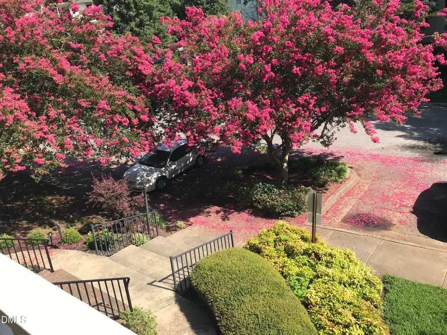 1521 Creekwood Court #203, Raleigh, NC 27603 - Image #2