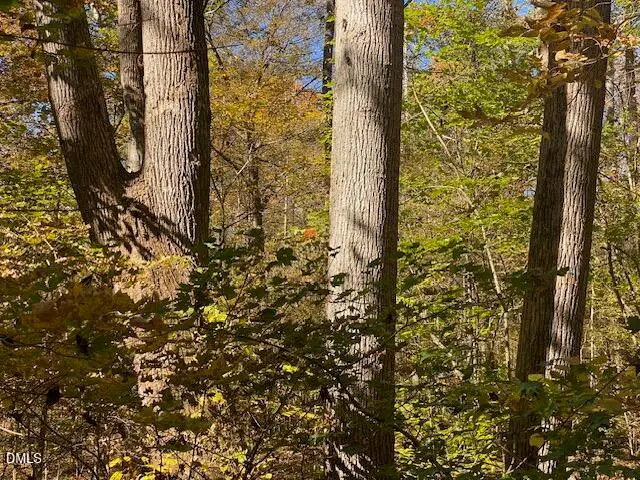 Lot 6 Sepelo Way, Efland, NC 27243 - Image #1