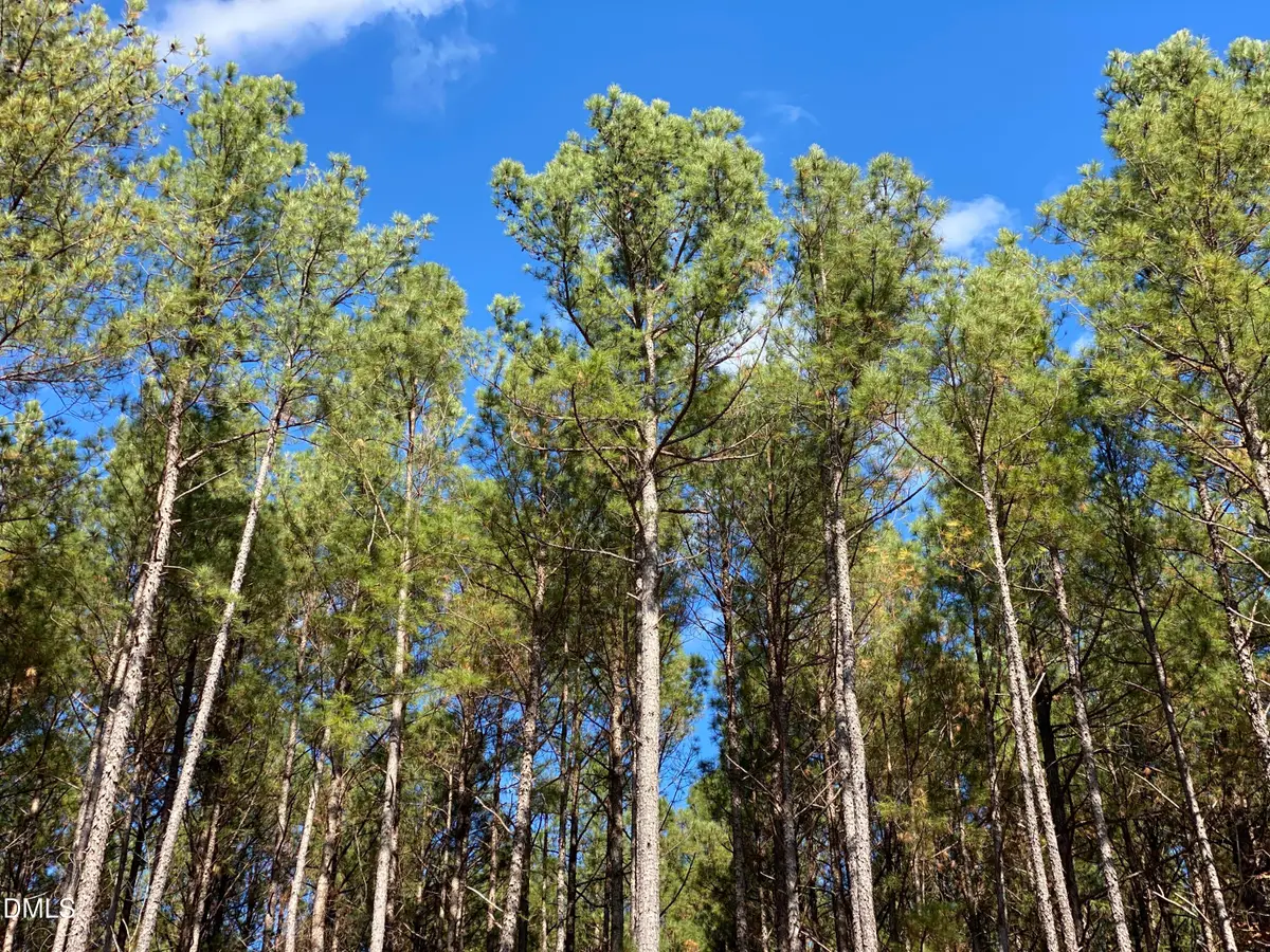 586 Anneliis Lane, Siler City, NC 27344 - Image #1