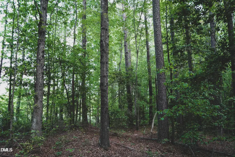 Lot 4 Arthur Wilder Road, Spring Hope, NC 27882 - Image #3