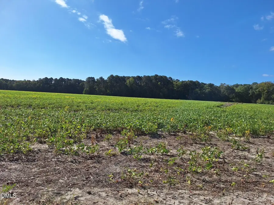 Tract 5 1676 Ross Road, Robersonville, NC 27871 - Image #3