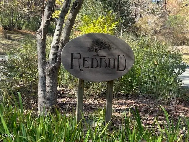 210 Anolis Lane, Pittsboro, NC 27312 - Image #1