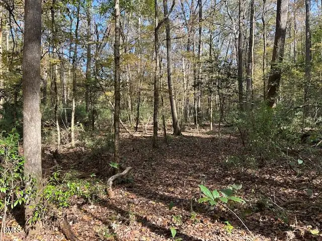 210 Anolis Lane, Pittsboro, NC 27312 - Image #3