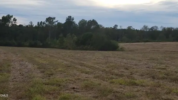 111 Old Wagon Lane, Sanford, NC 27332