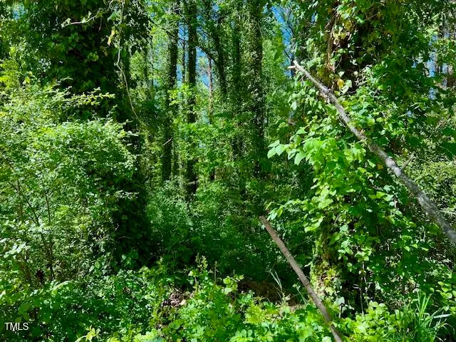 00 Young Avenue, Henderson, NC 27536 - Image #2