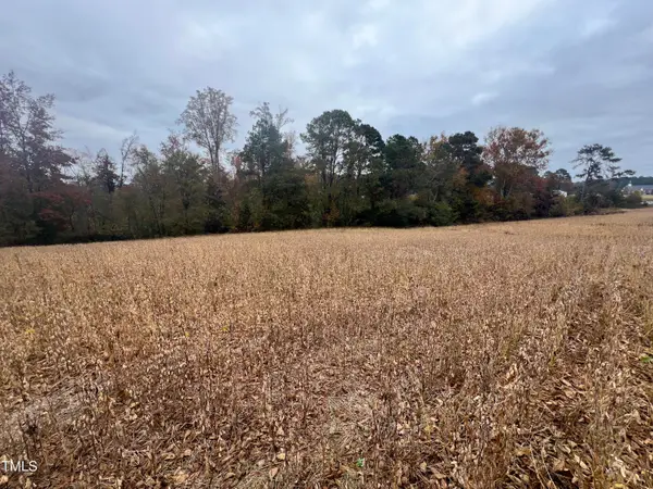 0 Walnut Grove Church Road, Louisburg, NC 27549