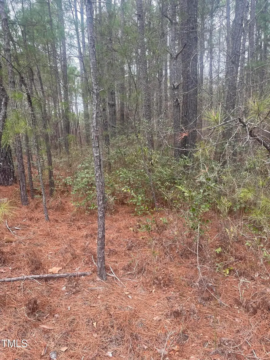 0 Bumpy Lane, Barbecue, NC 27332 - Image #2