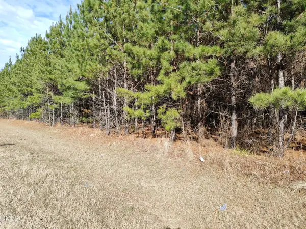 Lot 8 Windblow Road, Jackson Springs, NC 27281