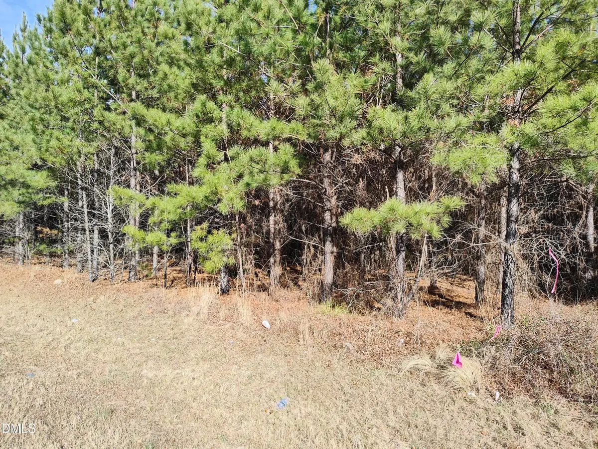 Lot 9 Windblow Road, Jackson Springs, NC 27281 - #1