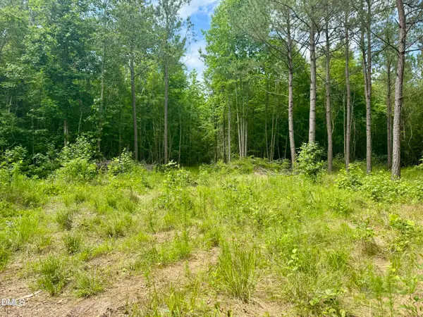 Tract 1 Frazier Road, Spring Hope, NC 27882