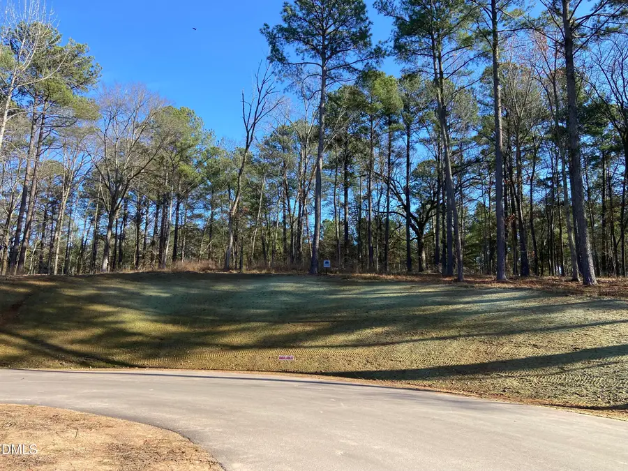 9113 Moon Lake Lane, New Hill, NC 27562 - #2