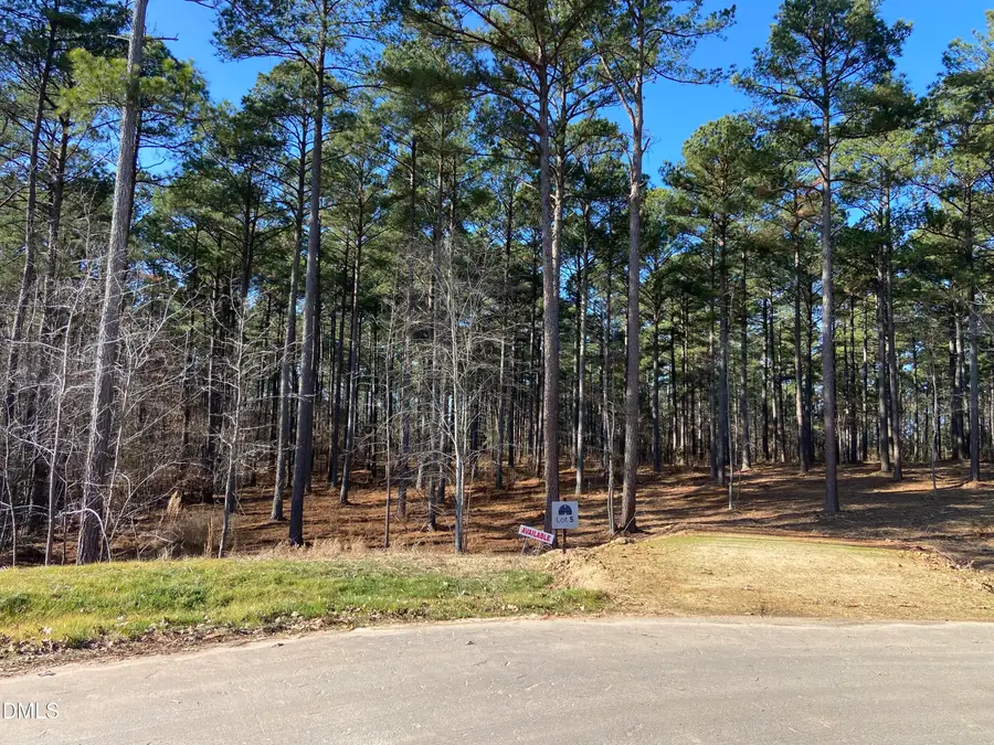 8917 Morning Song Court, New Hill, NC 27562 - #3