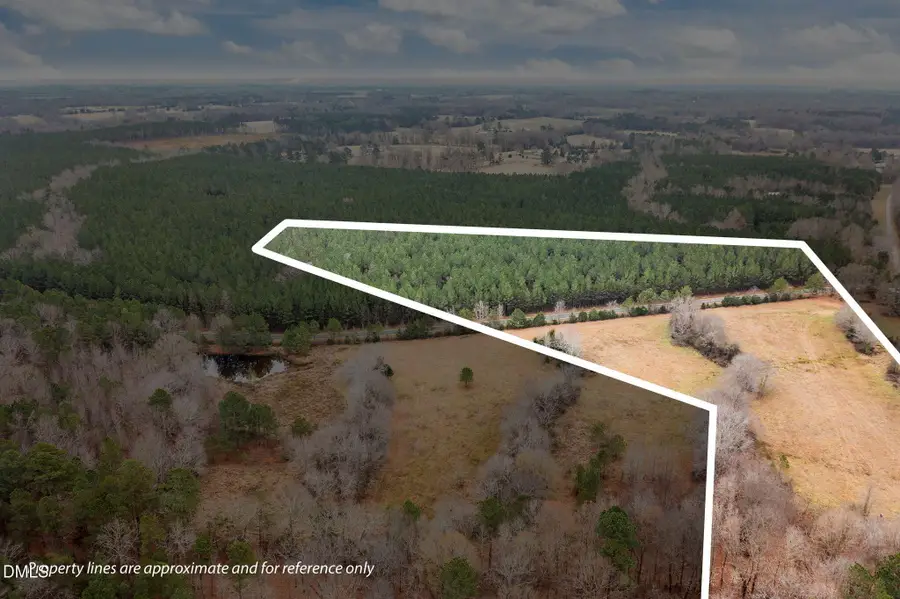 0000 Clyde Underwood New Tract 1 Road, Siler City, NC 27344 - Image #2